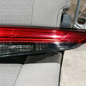 haylander 2021 stop  sag baj