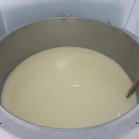 başşuluk сивортга