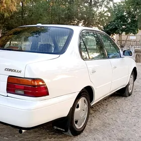 Toyota Corolla 1995