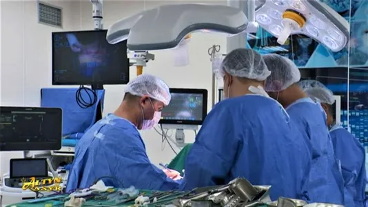 Nemes professorlary Türkmenistanyň lukmançylyk merkezlerine baryp, olaryň işine baha berdiler