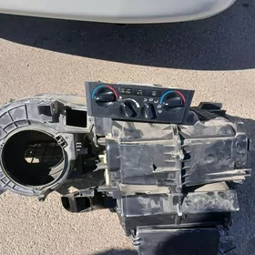 pec korpus avalon
