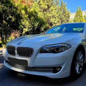 BMW F10 2010
