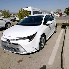 Toyota Corolla 2024