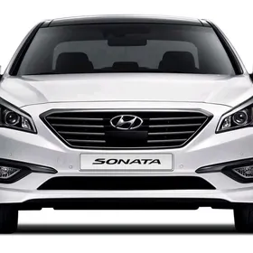 Sonata Brazgawyk 2015-2017ý
