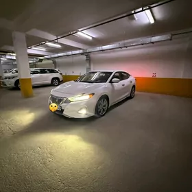 Nissan Maxima 2019