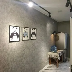 Arenda Mir аренда сдаю