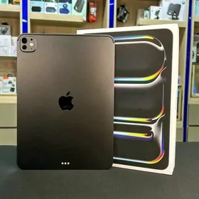 Apple iPad Pro / 256GB, Wi-Fi