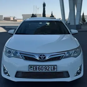 Toyota Camry 2013