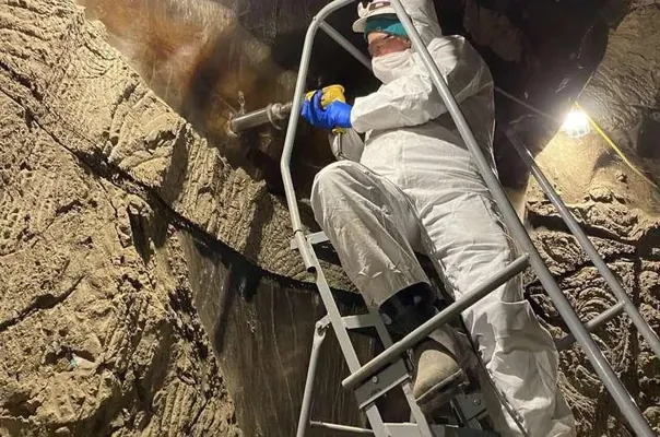 Alymlar ebedi doňaklykdaky ýaşy, takmynan, 40 müň ýyl bolan mikrob­lary oýartdylar