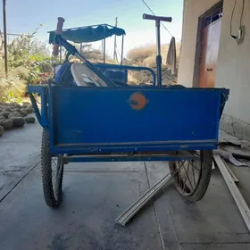 3 тигил велик