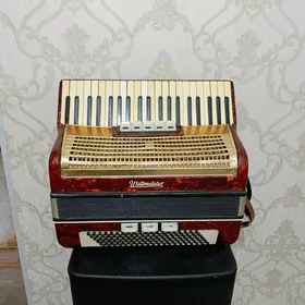 Аккордеон