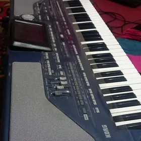 Korg pa800