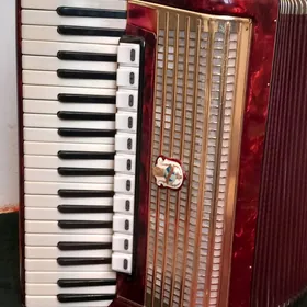 akkordeon