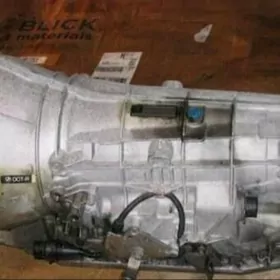 5hp19 morda