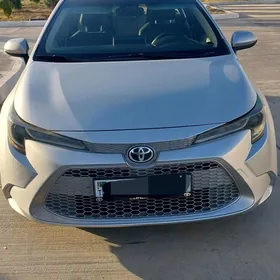 Toyota Corolla 2020