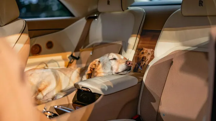 Rolls-Royce ýörite sargyt boýunça ite bagyşlap Specter ulagynyň aýratyn wersiýasyny çykardy