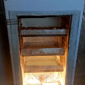 inkubator инкубатор