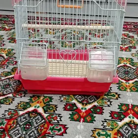 kletka