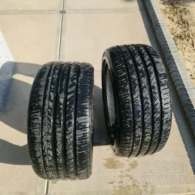 Pakrışka 2şt