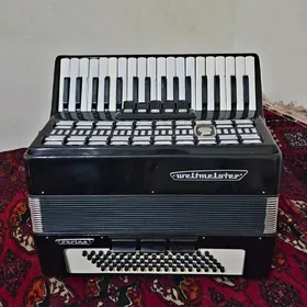 Akkardion