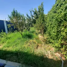 Plan 3kom 6sotka Eks baza