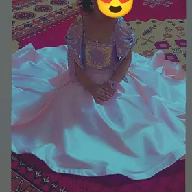 Вечерны койнек