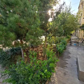 11мкр Худайбердыева 1в2ком 1эт