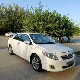 Toyota Corolla 2008