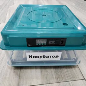 incubator
