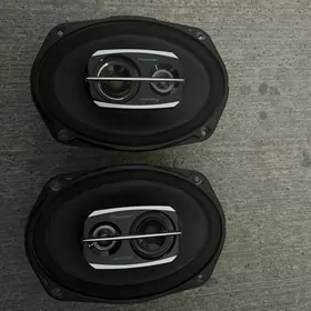 pioneer kalonka