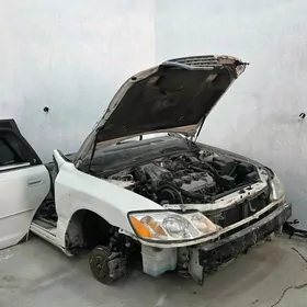 Toyota Avalon Morda