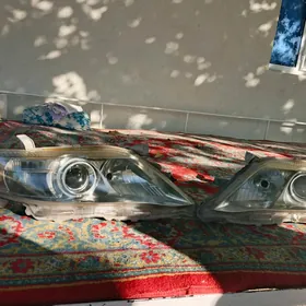 2009-2011 öküz kelle fara