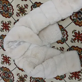 şuba