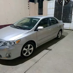 Toyota Corolla 2011