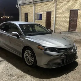 Toyota Camry 2020