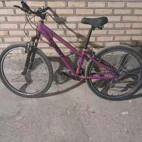 Tigir
