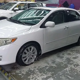 Toyota Corolla 2010