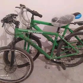 tigir тигир