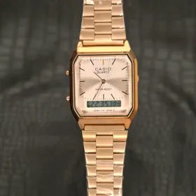 Casio sagatlar