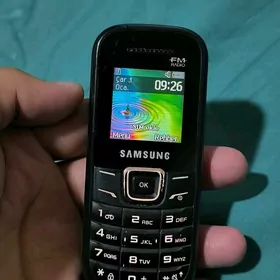 samsung 1200 prastoy