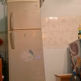 Haladilnik yagdayy gowy