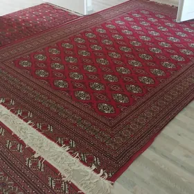 kreyne kwartira