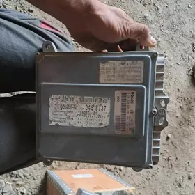 Kamputir. man. Gazan