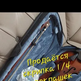 скрипка