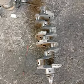 mtz wal