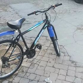 Welik sport