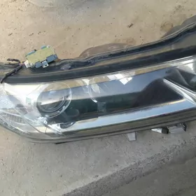 Highlander farasy Limiten