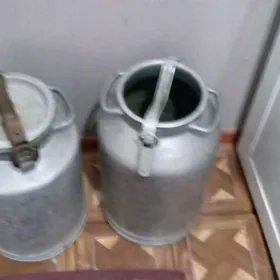 филяга