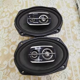 pioneer kolonka.