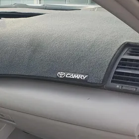 TARPEDA CEHOL KECE KEMRY